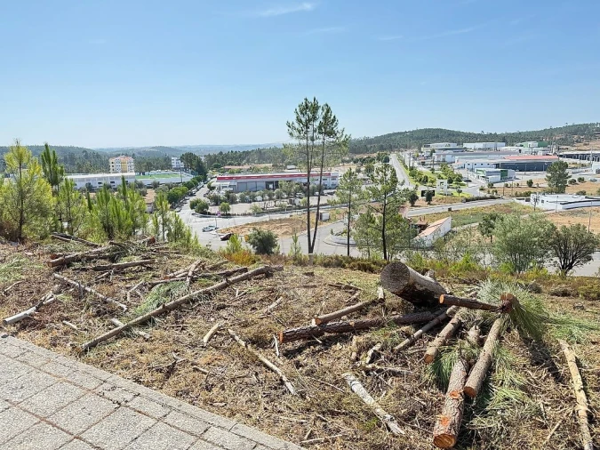 Terreno para Venda em Mação, Penhascoso e Aboboreira Foto 7