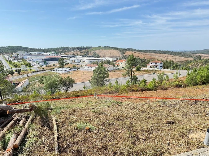 Terreno para Venda em Mação, Penhascoso e Aboboreira Foto 3