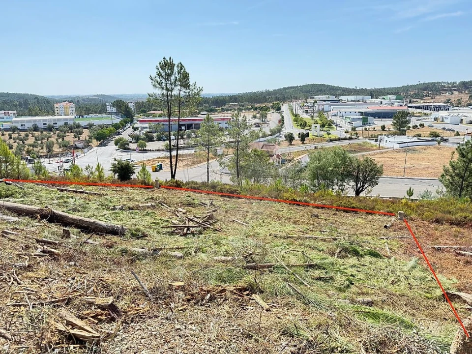 Terreno para Venda em Mação, Penhascoso e Aboboreira Foto 9