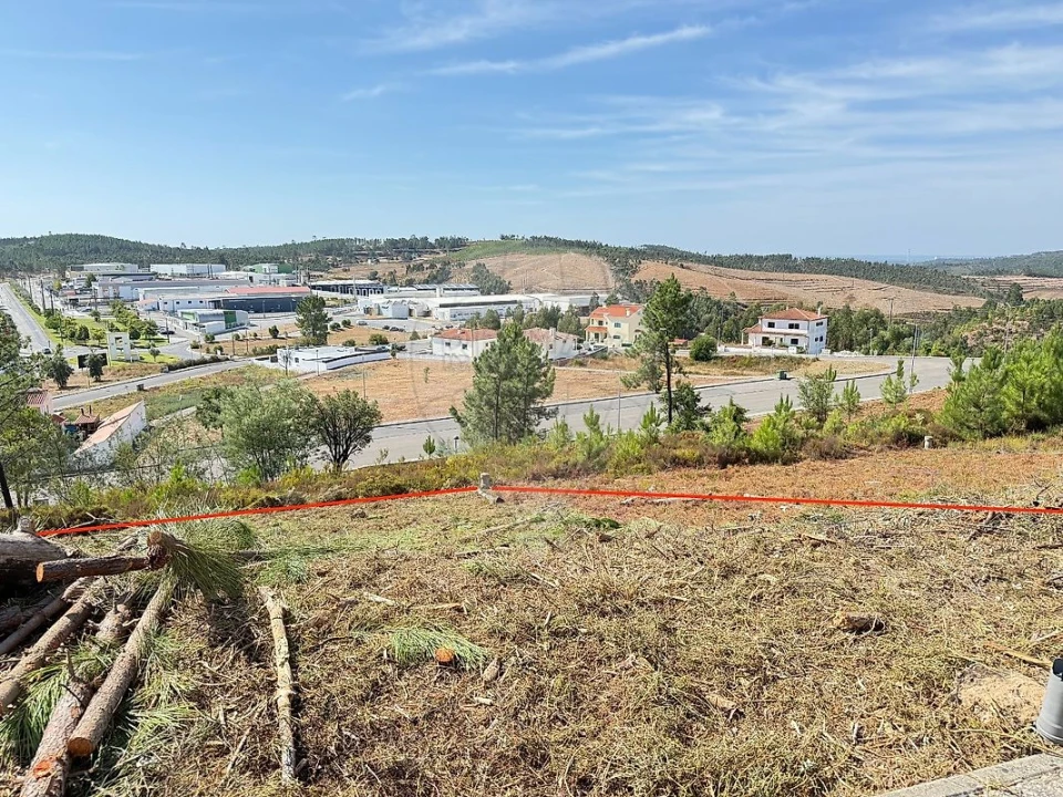 Terreno para Venda em Mação, Penhascoso e Aboboreira Foto 3