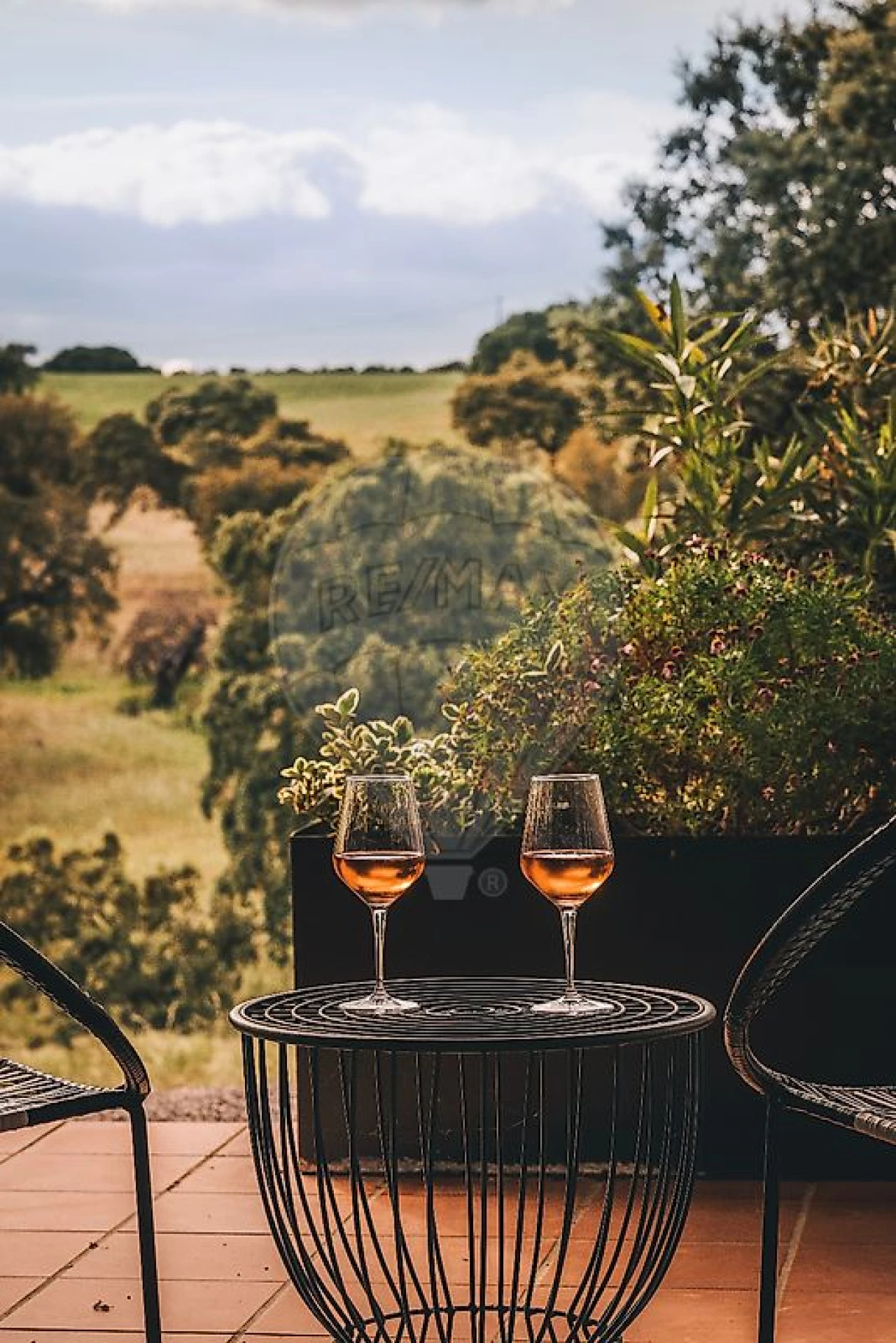 Quinta T8 para Venda em Ervedal Foto 26