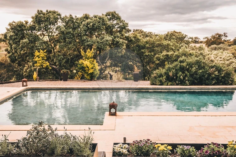 Quinta T8 para Venda em Ervedal Foto 11