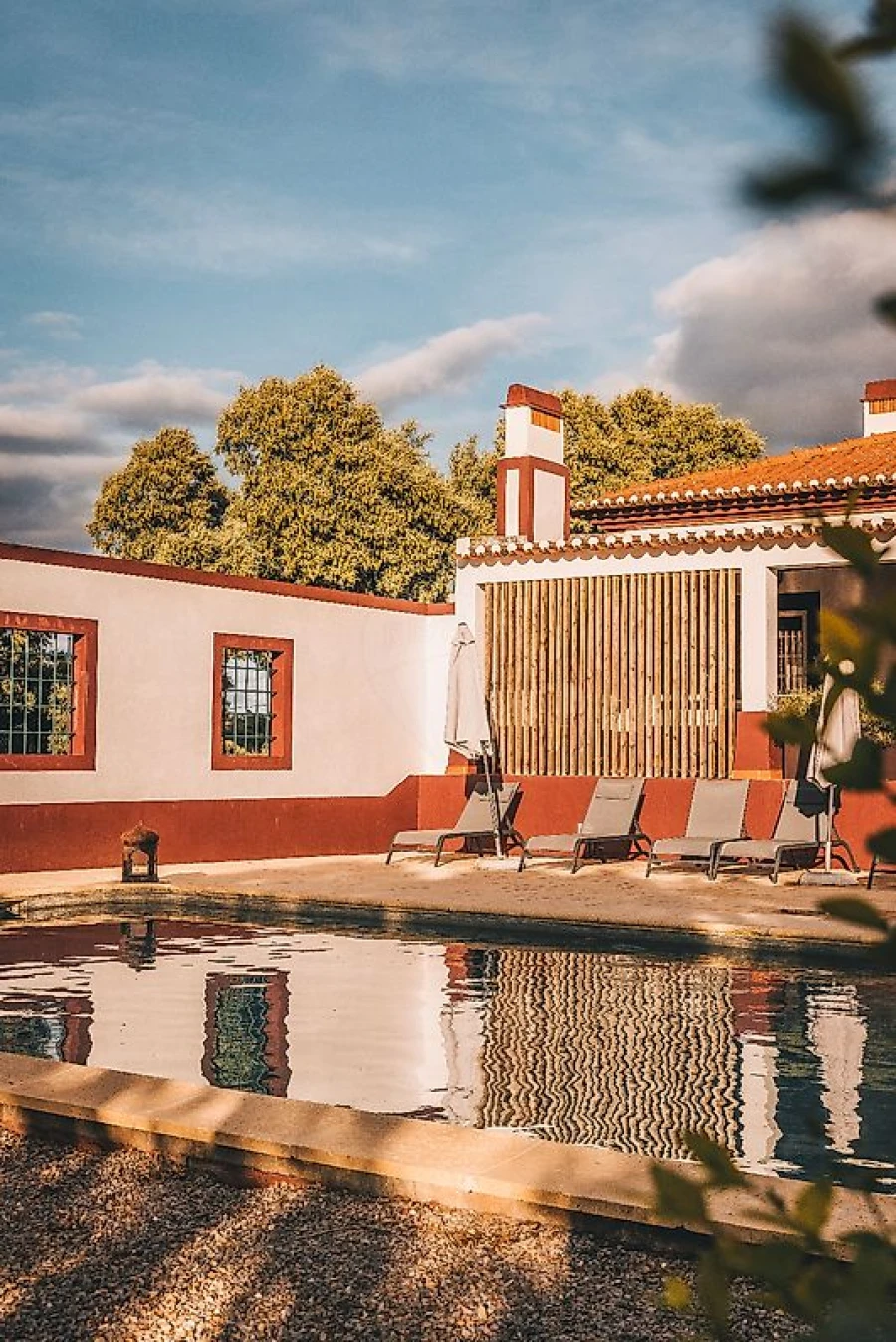 Quinta T8 para Venda em Ervedal Foto 9