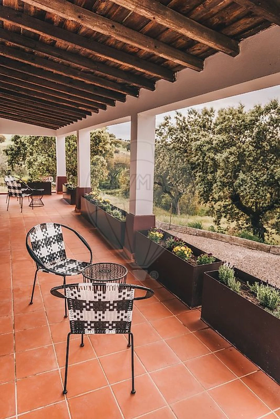 Quinta T8 para Venda em Ervedal Foto 24