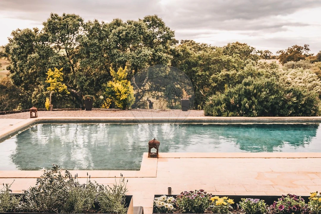 Quinta T8 para Venda em Ervedal Foto 11