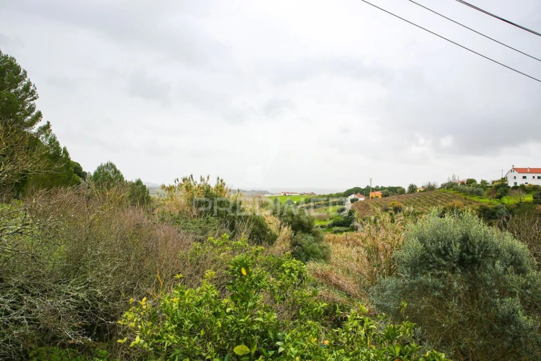 Moradia T3 para Venda em Abrigada e Cabanas de Torres Foto 5