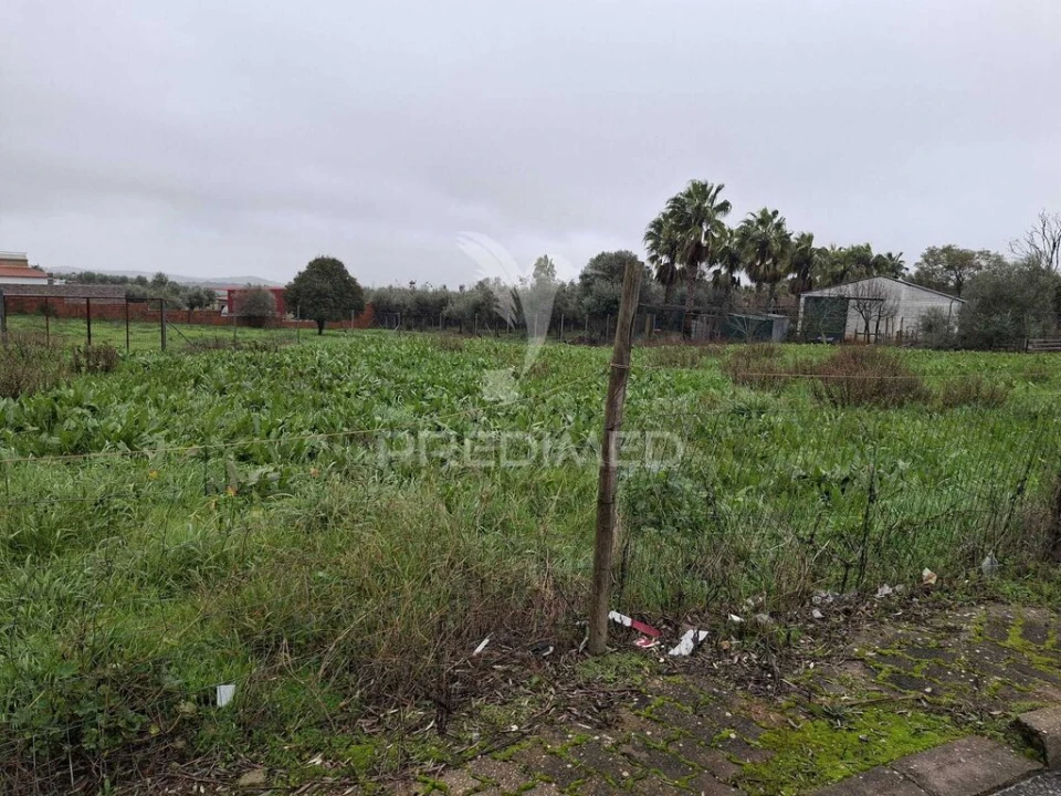 Terreno para Venda em Capelins (Santo Antonio) Foto 4