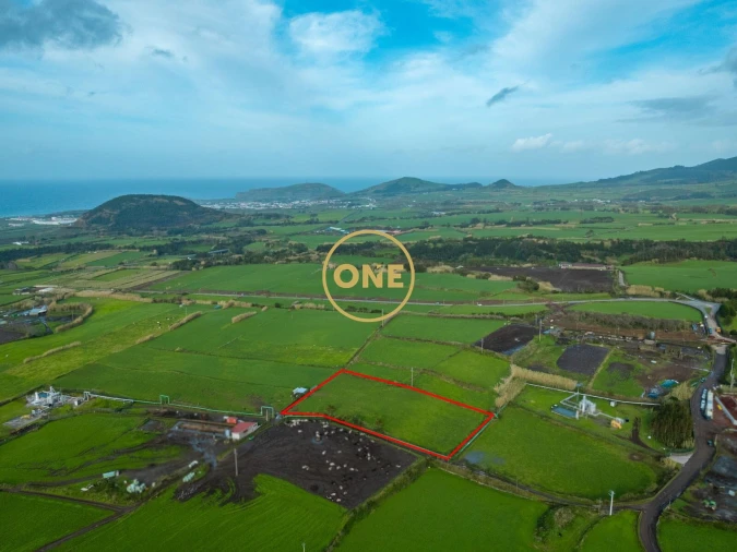Terreno para Venda em Ribeira Grande (Conceição) Foto 4