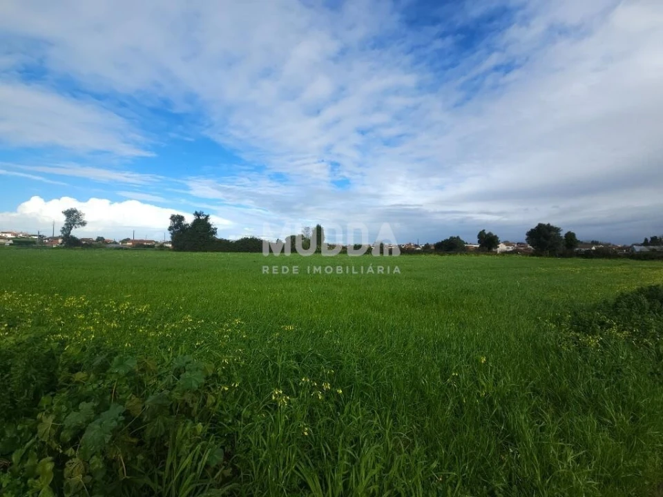Terreno para Venda em Canelas e Fermelã Foto 1