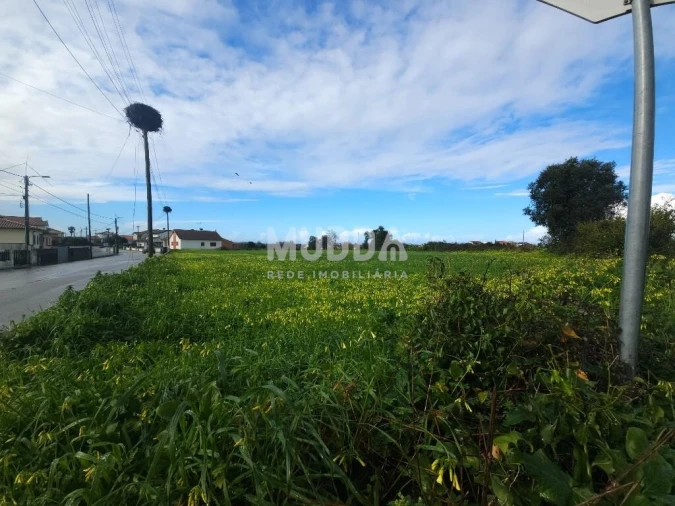 Terreno para Venda em Canelas e Fermelã Foto 2