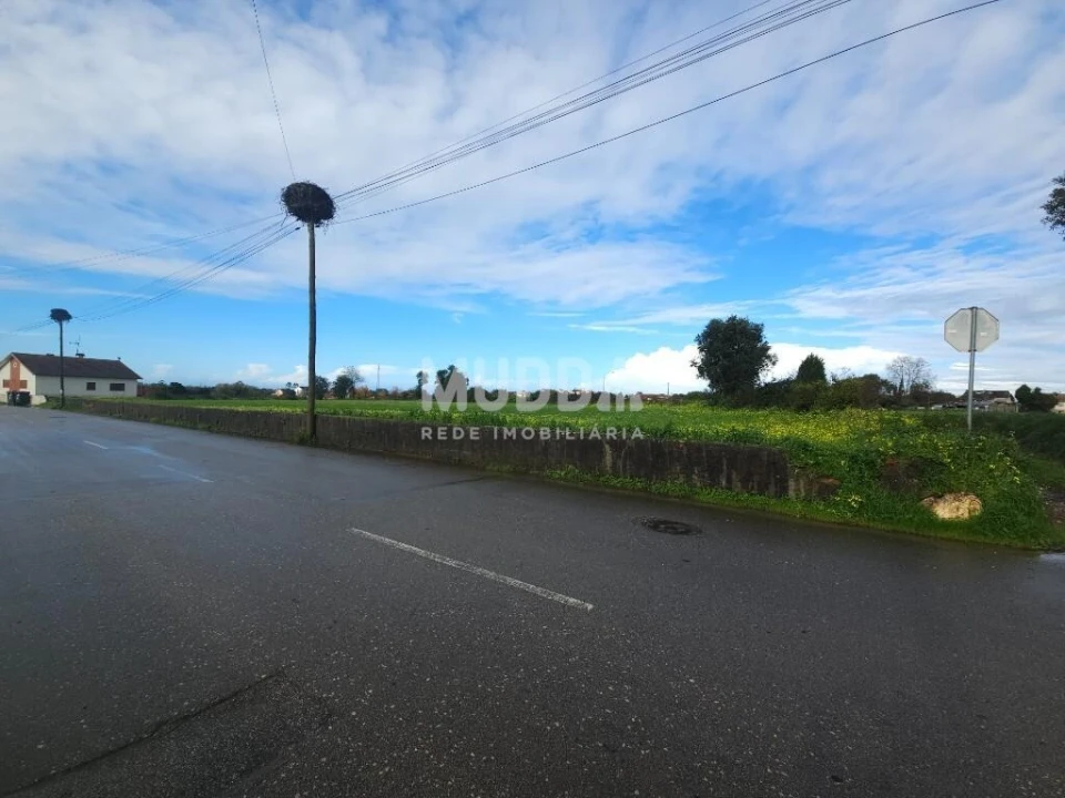 Terreno para Venda em Canelas e Fermelã Foto 3