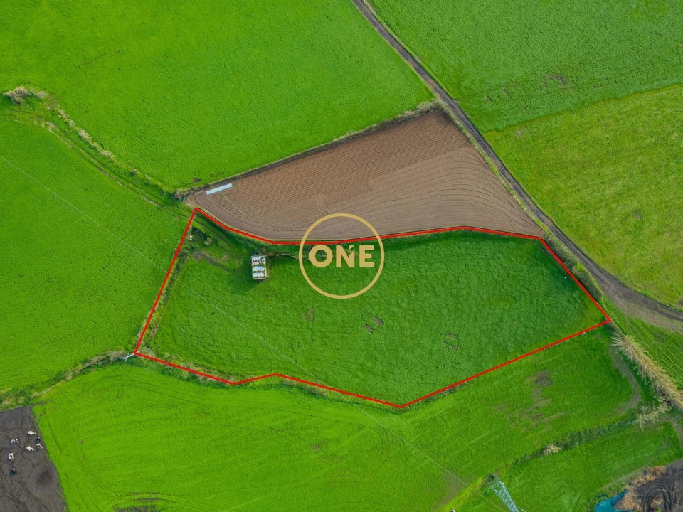 Terreno para Venda em Ribeira Grande (Conceição) Foto 5