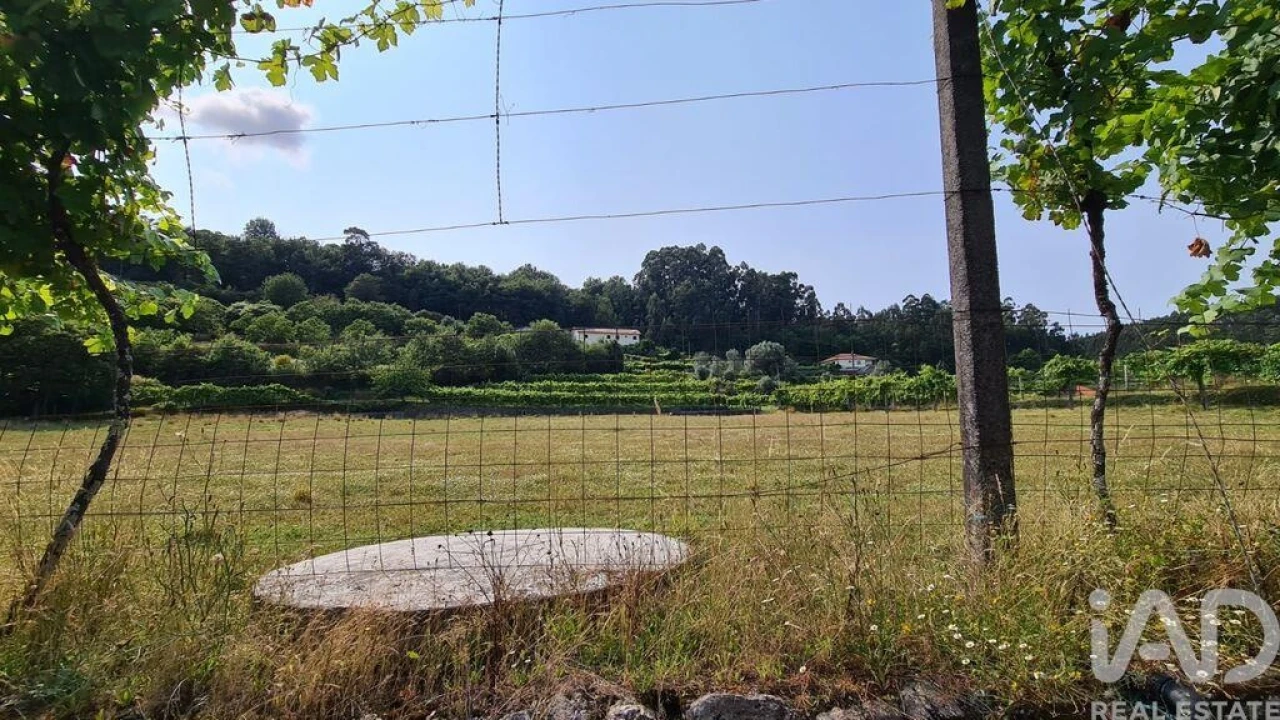 Terreno para Venda em Valbom (São Pedro), Passô e Valbom (São Martinho) Foto 1