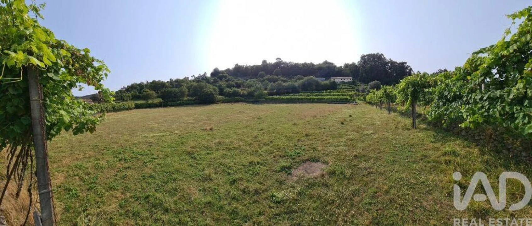 Terreno para Venda em Valbom (São Pedro), Passô e Valbom (São Martinho) Foto 11