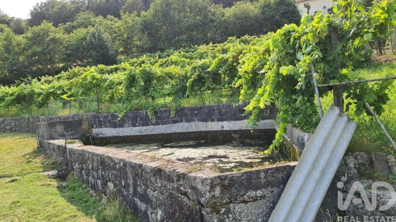 Terreno para Venda em Valbom (São Pedro), Passô e Valbom (São Martinho) Foto 3