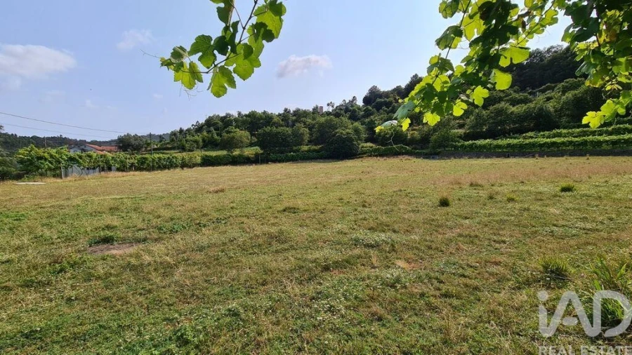 Terreno para Venda em Valbom (São Pedro), Passô e Valbom (São Martinho) Foto 2