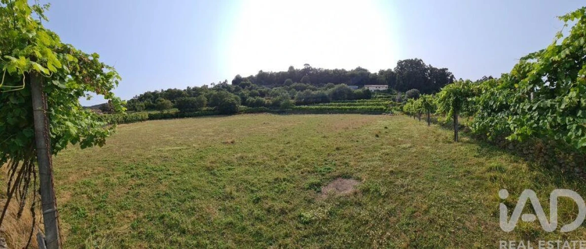 Terreno para Venda em Valbom (São Pedro), Passô e Valbom (São Martinho) Foto 11