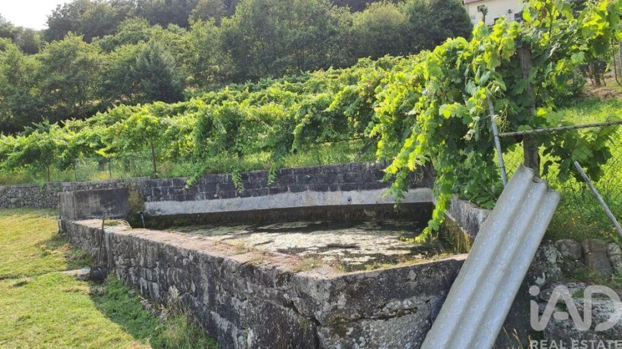 Terreno para Venda em Valbom (São Pedro), Passô e Valbom (São Martinho) Foto 3