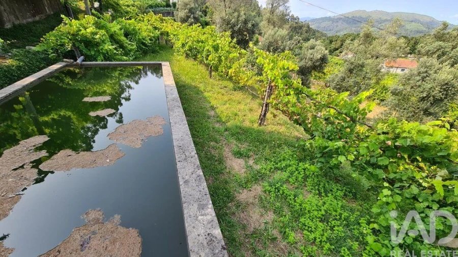 Terreno para Venda em Valbom (São Pedro), Passô e Valbom (São Martinho) Foto 8