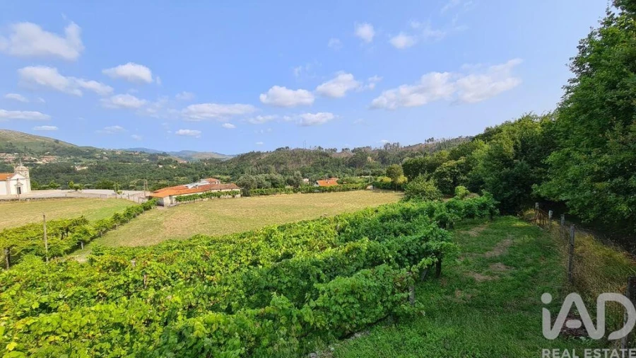 Terreno para Venda em Valbom (São Pedro), Passô e Valbom (São Martinho) Foto 5