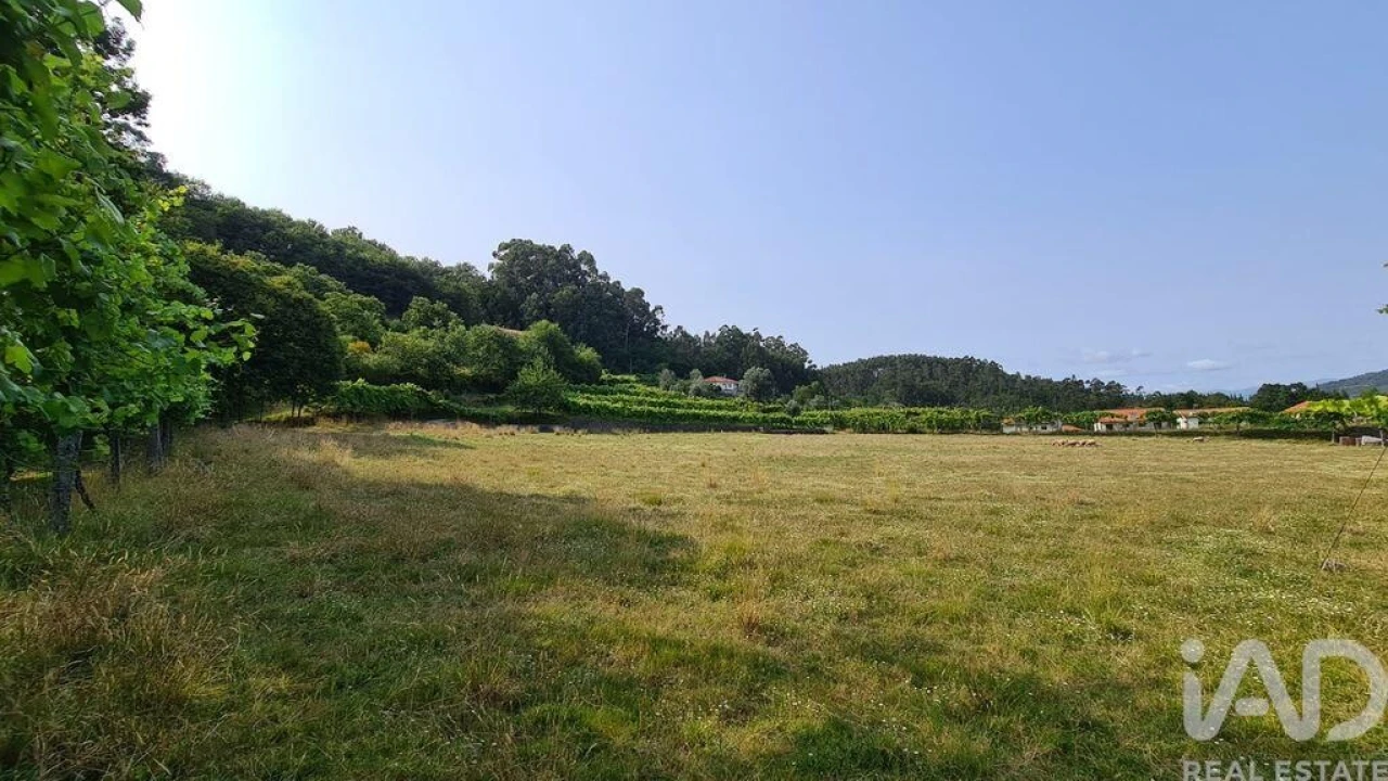 Terreno para Venda em Valbom (São Pedro), Passô e Valbom (São Martinho) Foto 12