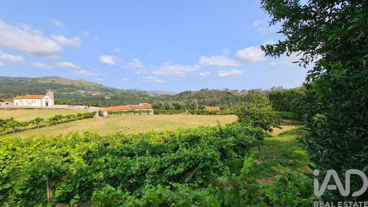 Terreno para Venda em Valbom (São Pedro), Passô e Valbom (São Martinho) Foto 9