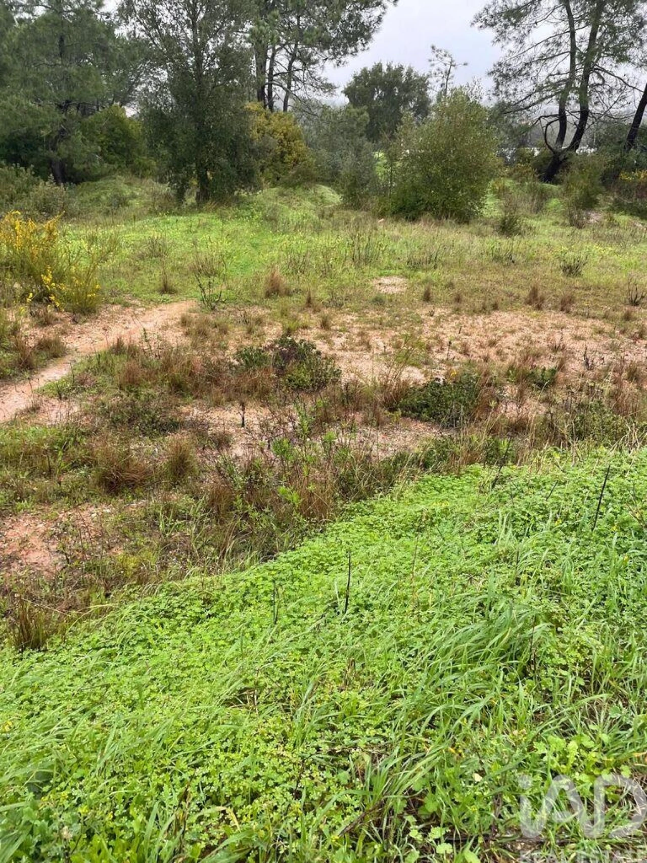 Terreno para Venda em União das Freguesias de Setúbal Foto 9