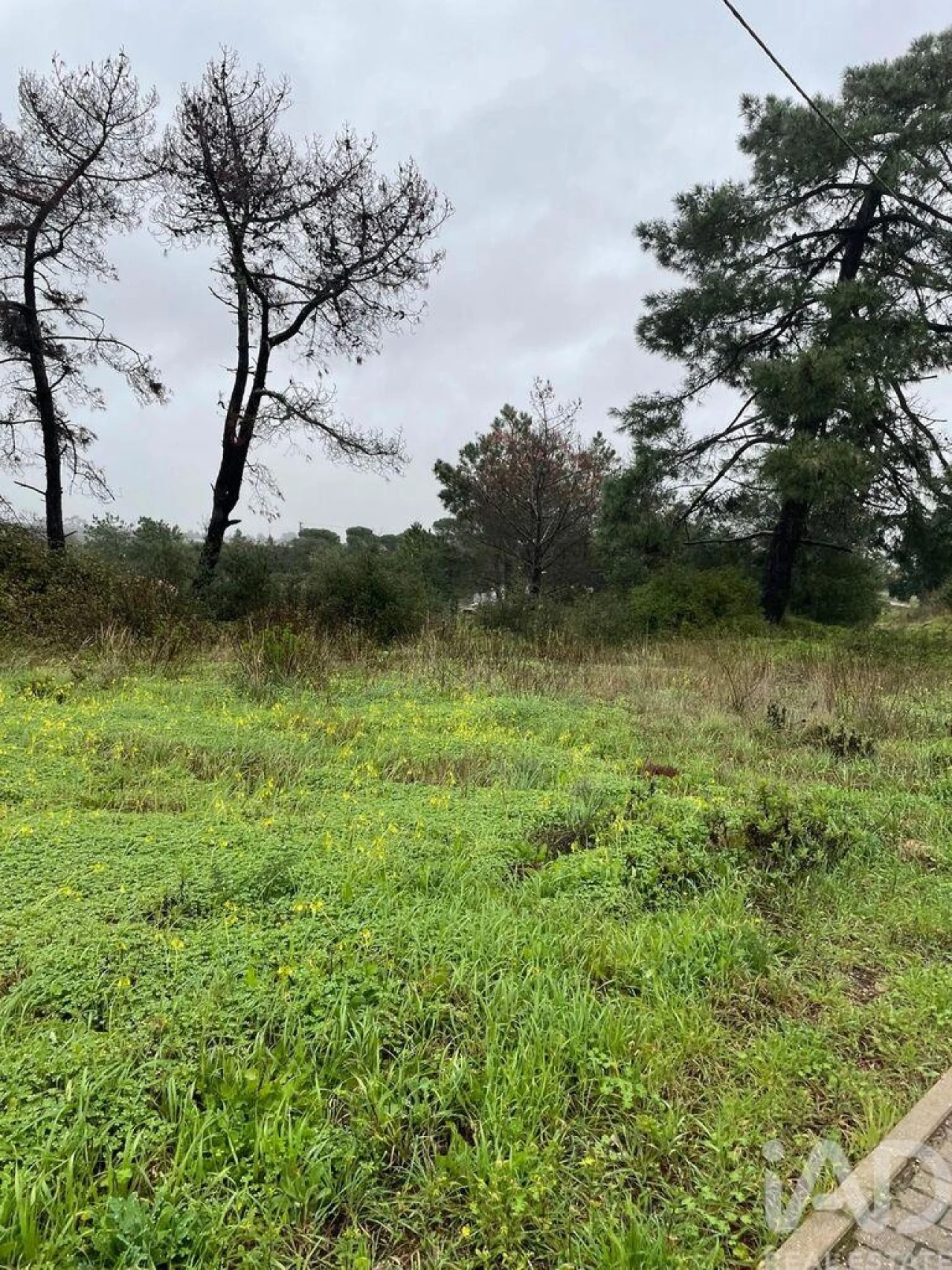 Terreno para Venda em União das Freguesias de Setúbal Foto 7