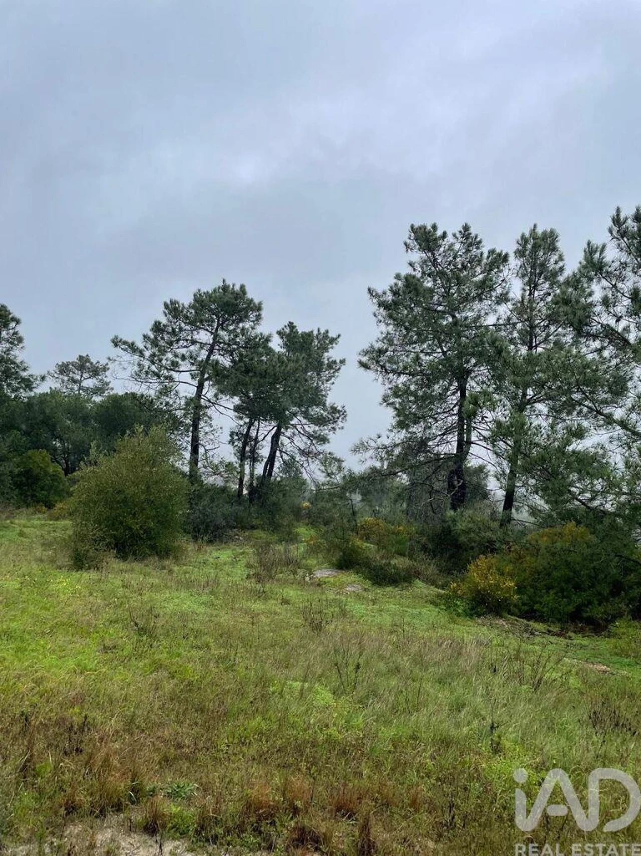 Terreno para Venda em União das Freguesias de Setúbal Foto 8
