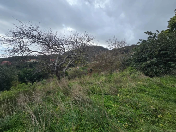 Moradia T4 para Venda em Santa Cruz Foto 16
