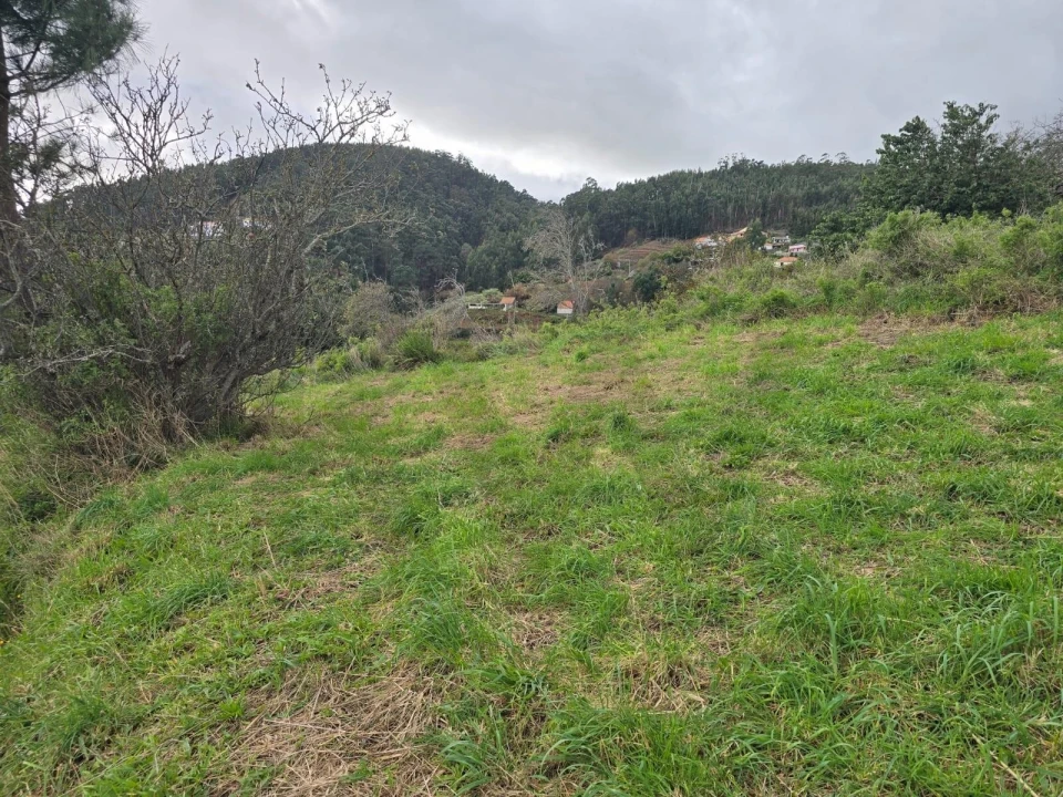 Moradia T4 para Venda em Santa Cruz Foto 7