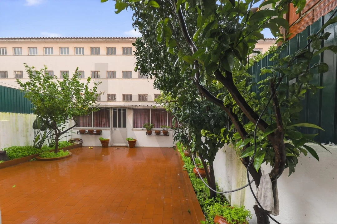 Apartamento T3 para Arrendamento em Campo de Ourique Foto 8