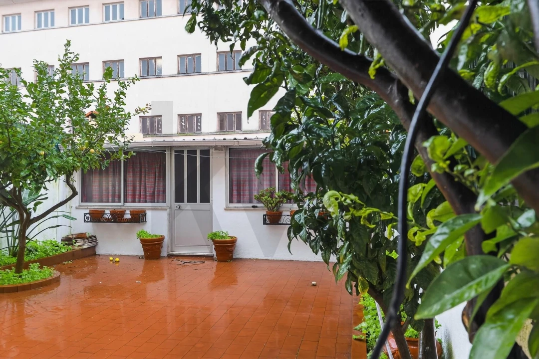 Apartamento T3 para Arrendamento em Campo de Ourique Foto 26