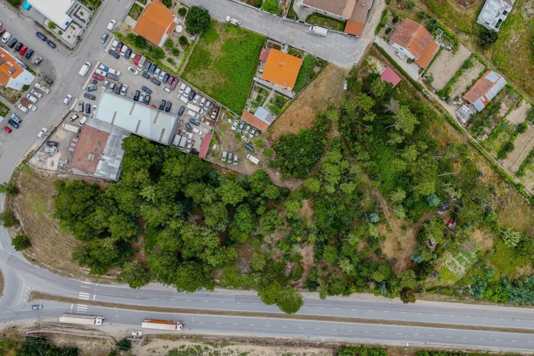 Terreno para Venda em Nelas Foto 13