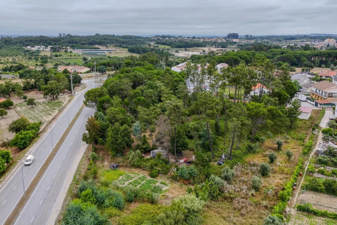 Terreno para Venda em Nelas Foto 8