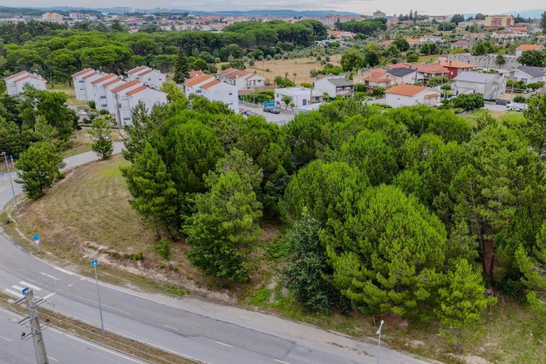 Terreno para Venda em Nelas Foto 6