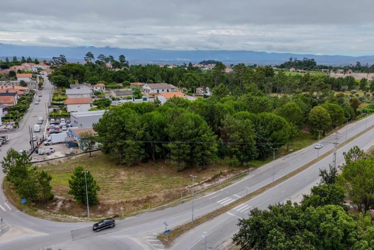 Terreno para Venda em Nelas Foto 9