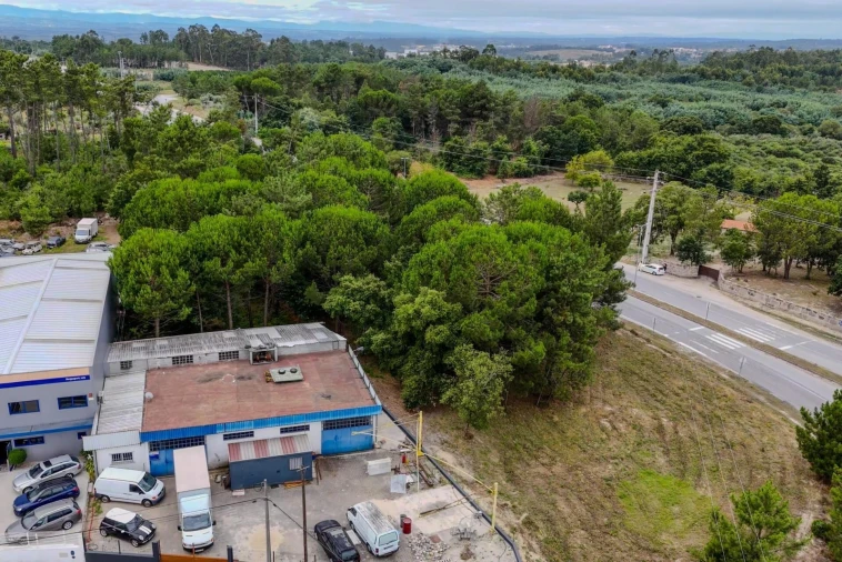 Terreno para Venda em Nelas Foto 16