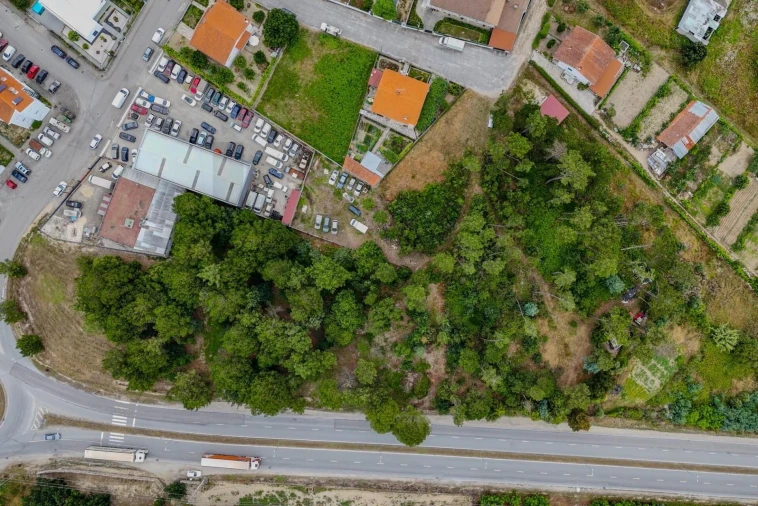 Terreno para Venda em Nelas Foto 5