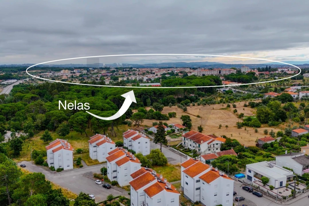 Terreno para Venda em Nelas Foto 2