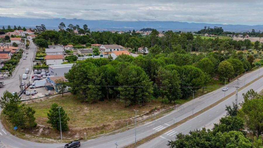 Terreno para Venda em Nelas