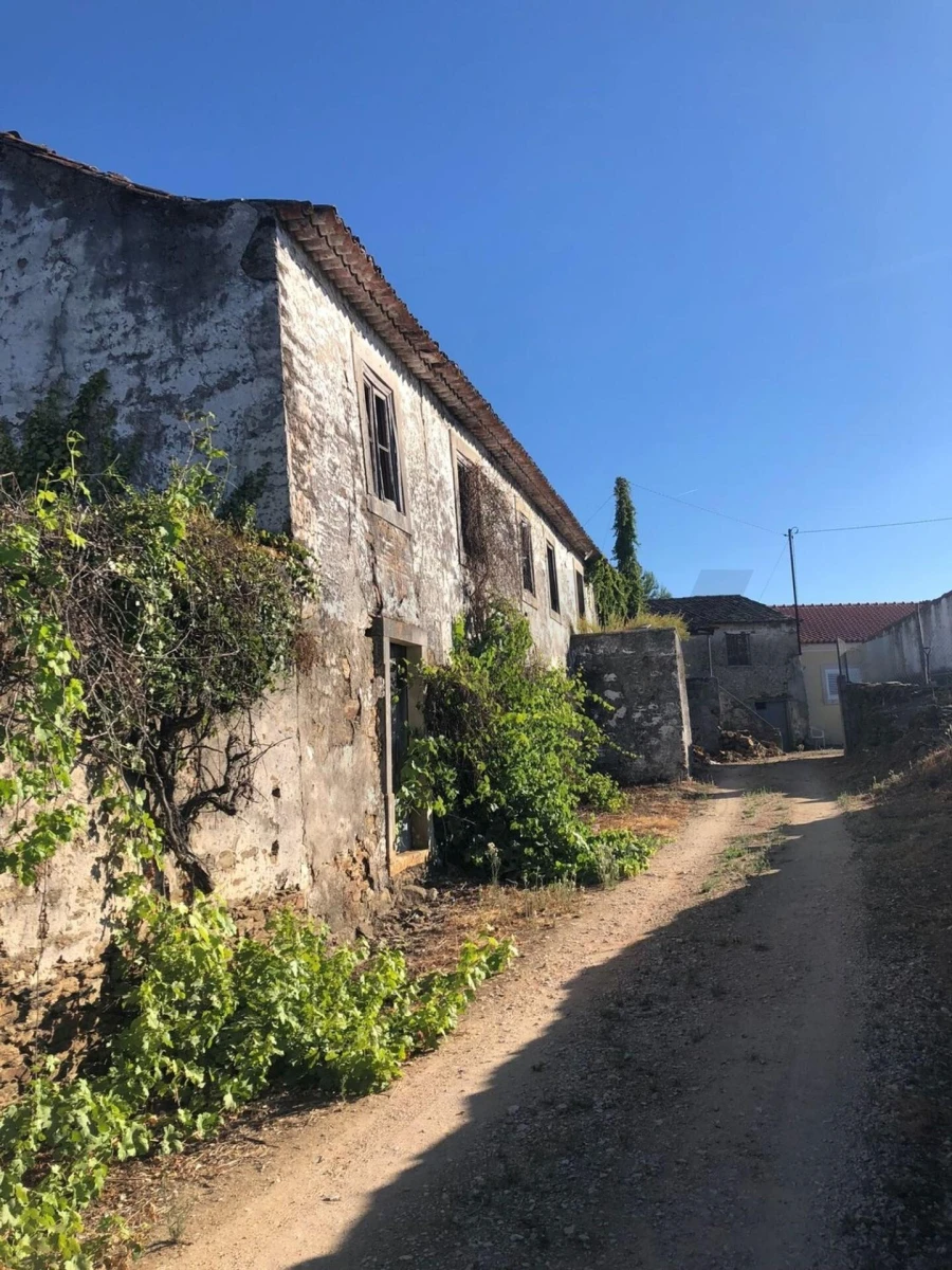 Moradia T4 para Venda em Olalhas Foto 7