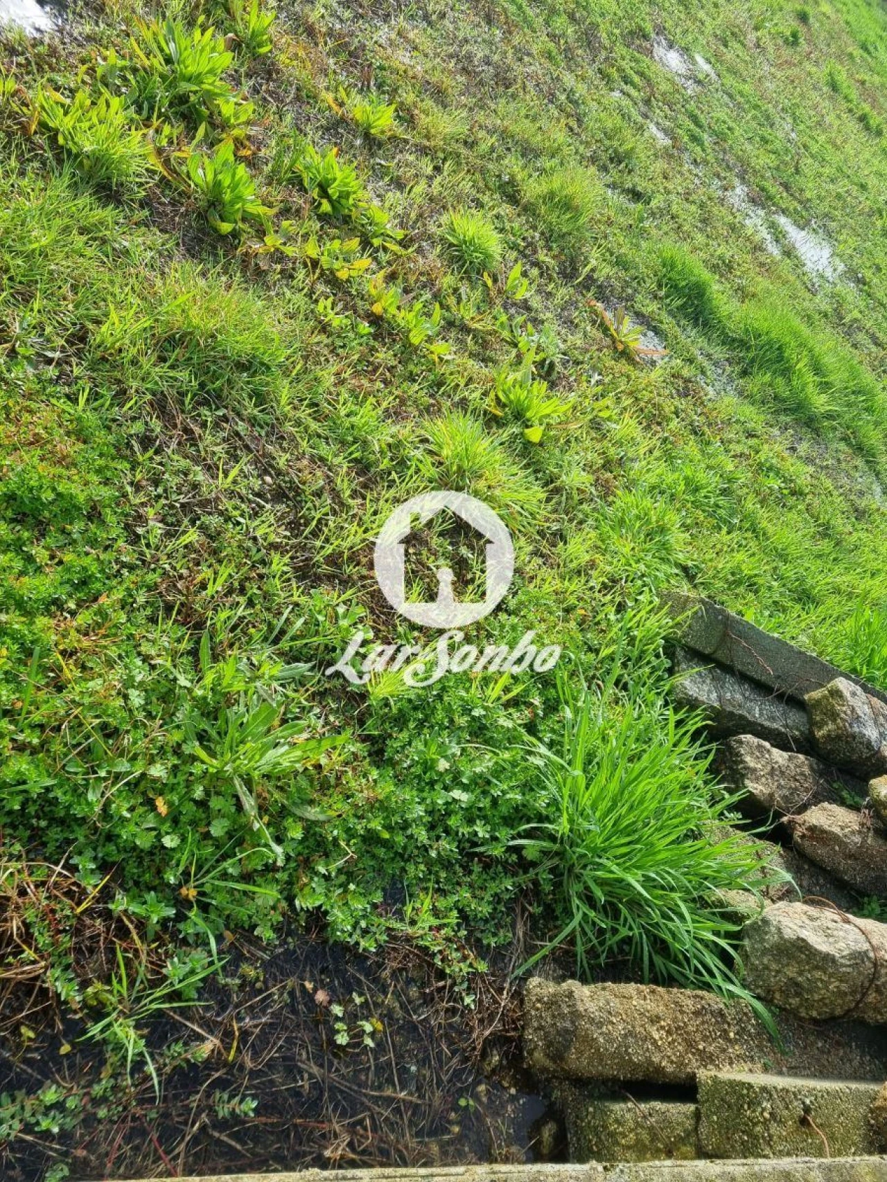 Terreno para Venda em Estela Foto 14