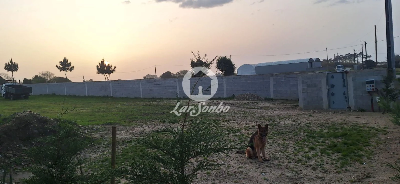 Terreno para Venda em Estela Foto 3