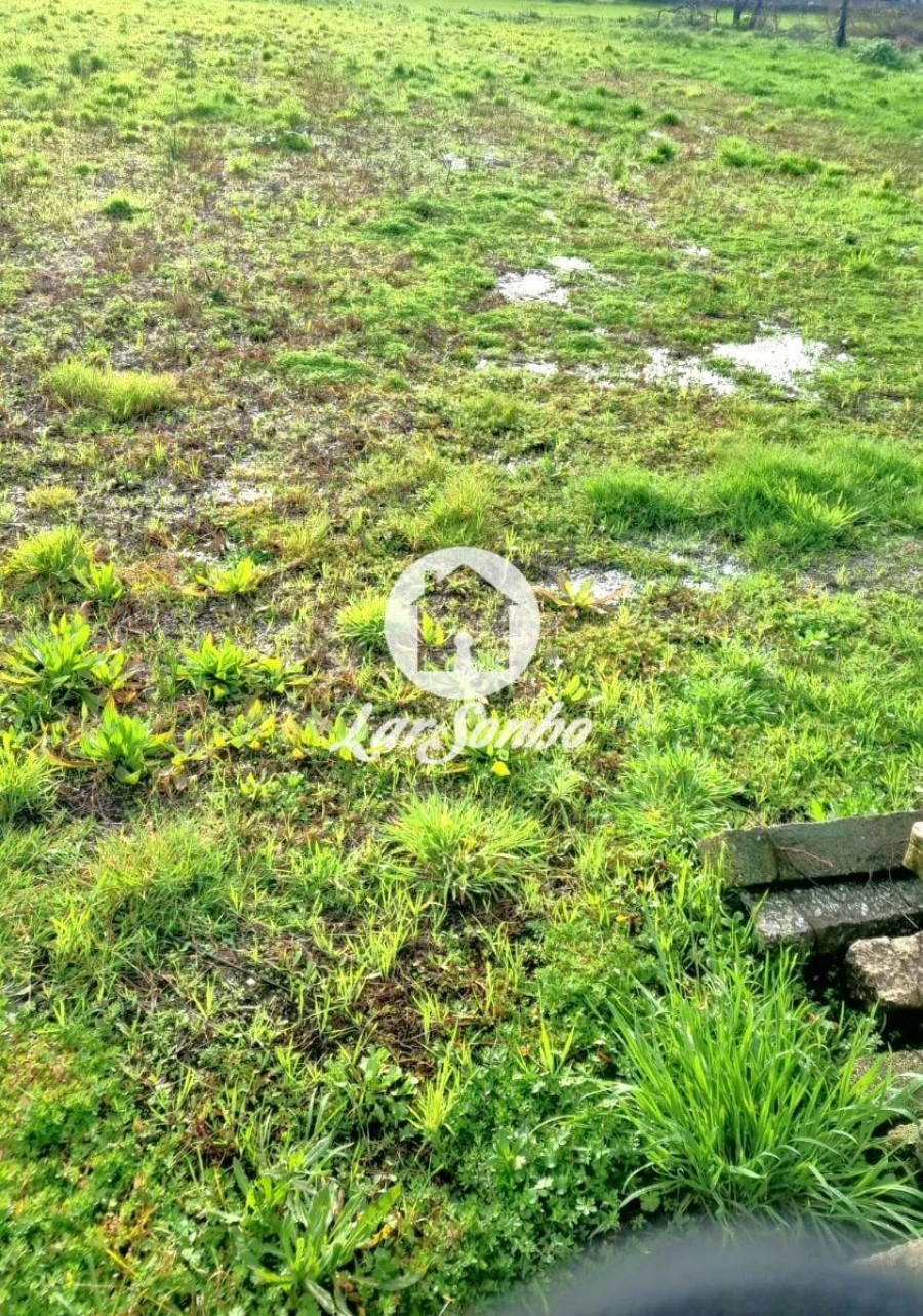 Terreno para Venda em Estela Foto 7