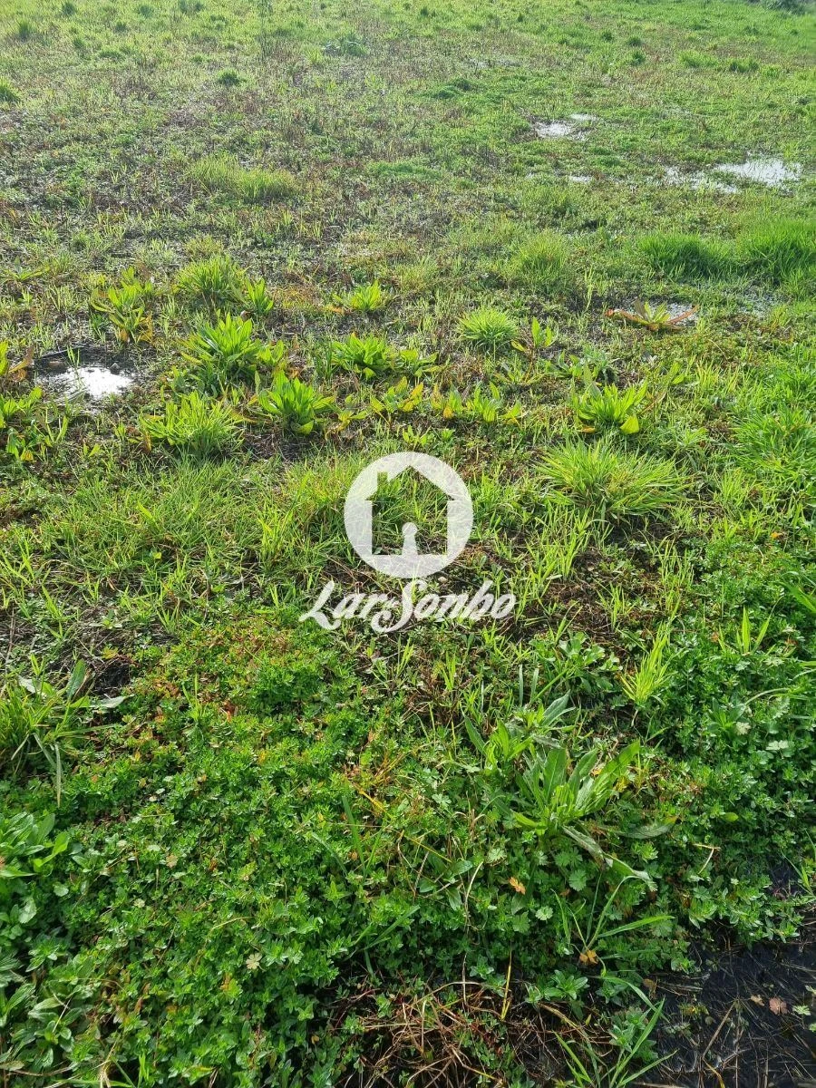 Terreno para Venda em Estela Foto 9