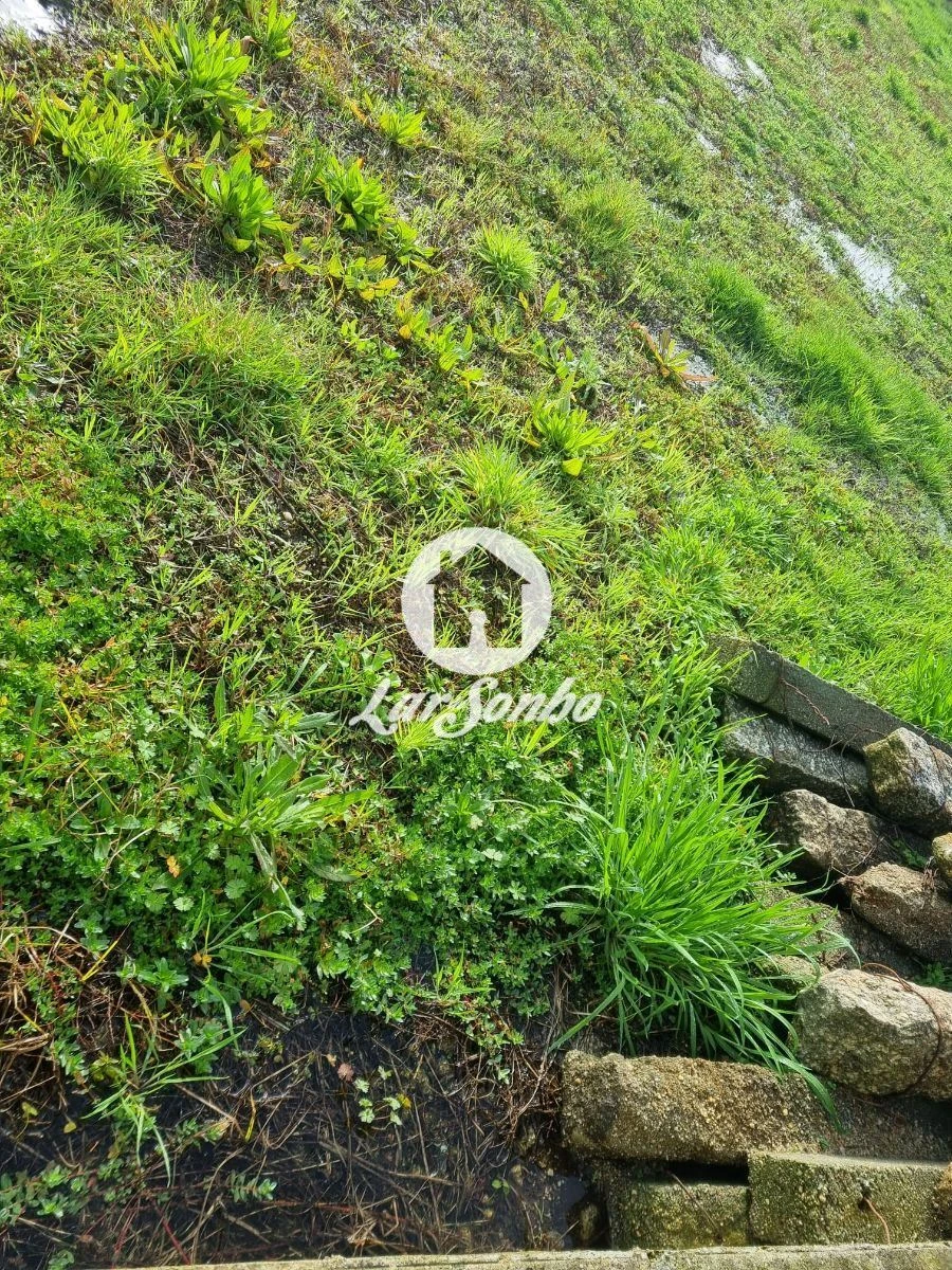 Terreno para Venda em Estela Foto 14