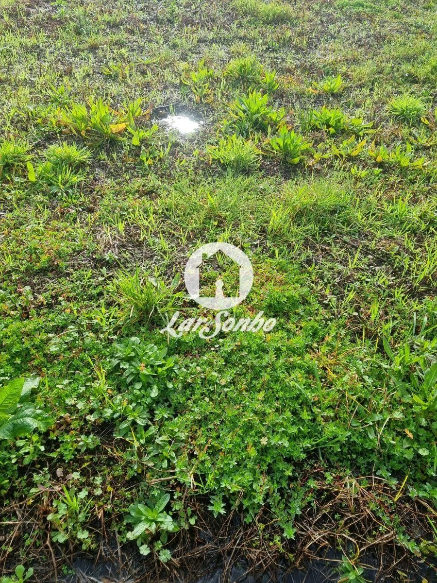 Terreno para Venda em Estela Foto 15