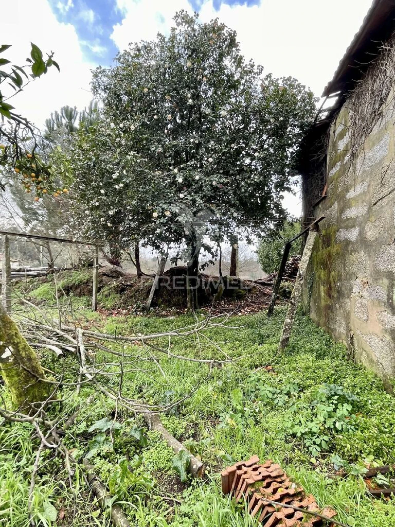 Moradia T2 para Venda em Cristelos, Boim e Ordem Foto 8