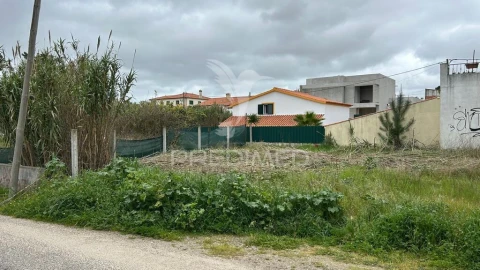 Terreno para Venda em Azeitão (São Lourenço e São Simão)